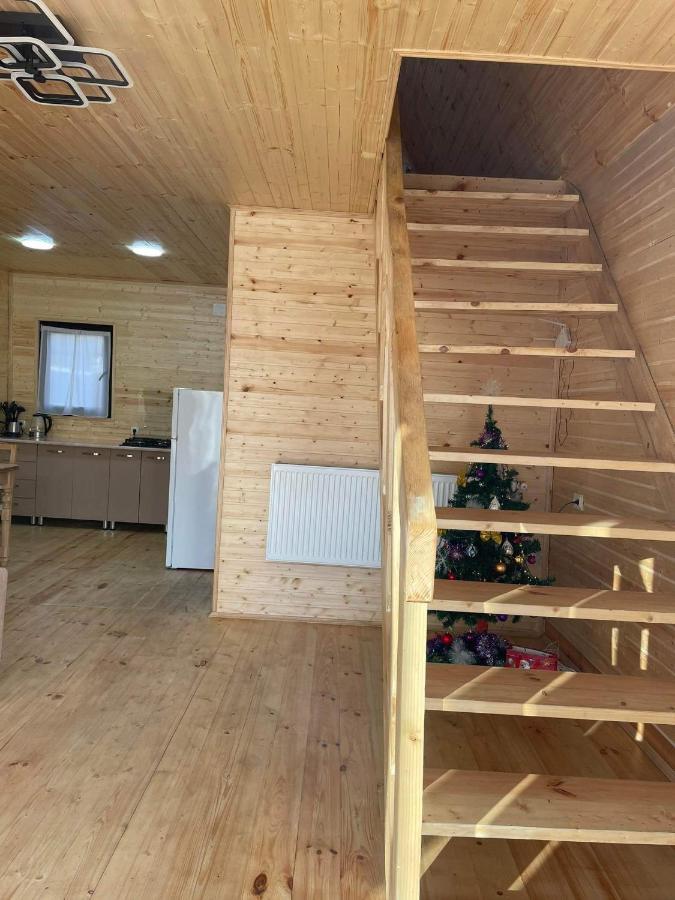 Twin Cottages Kazbegi エクステリア 写真