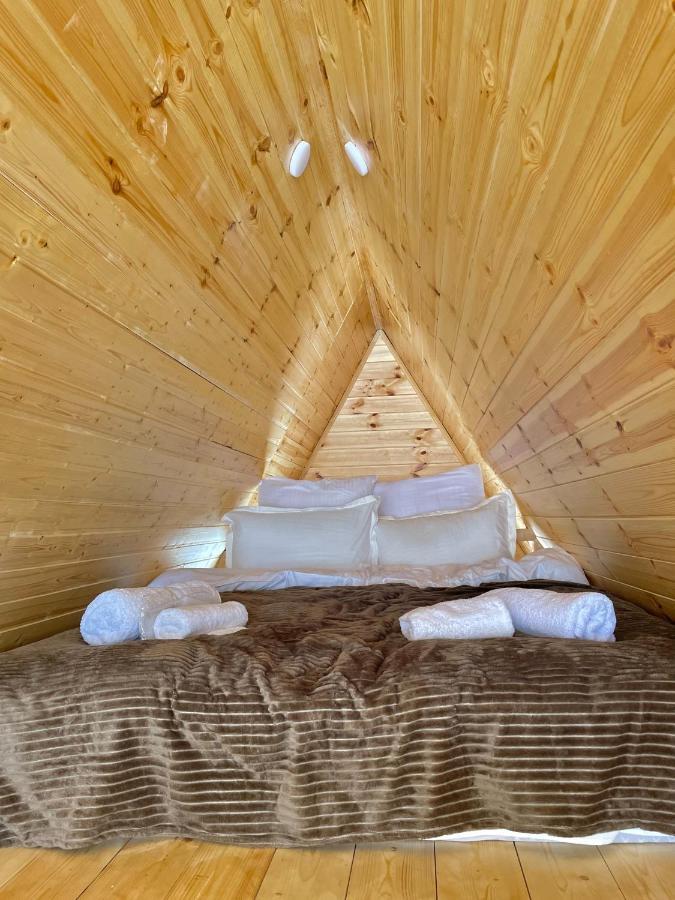Twin Cottages Kazbegi エクステリア 写真